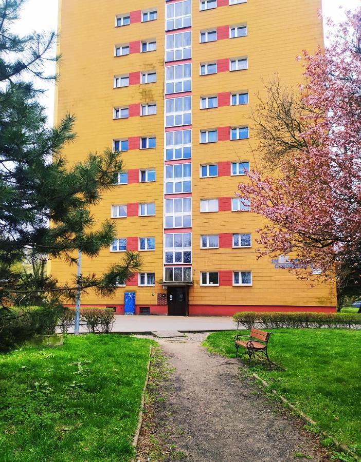 Апартаменты Apartament Alicja Торунь Экстерьер фото