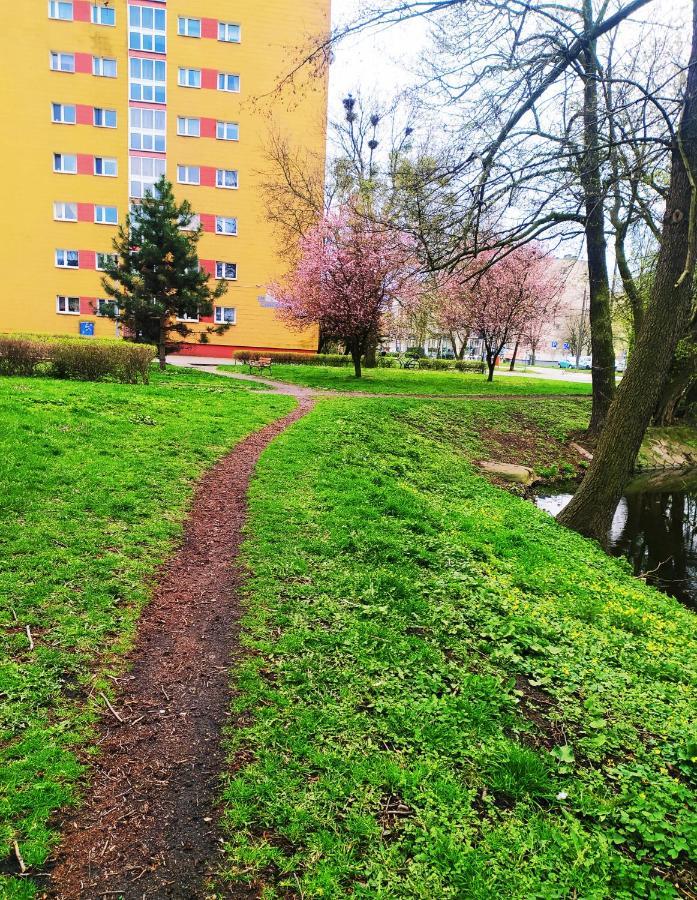 Апартаменты Apartament Alicja Торунь Экстерьер фото